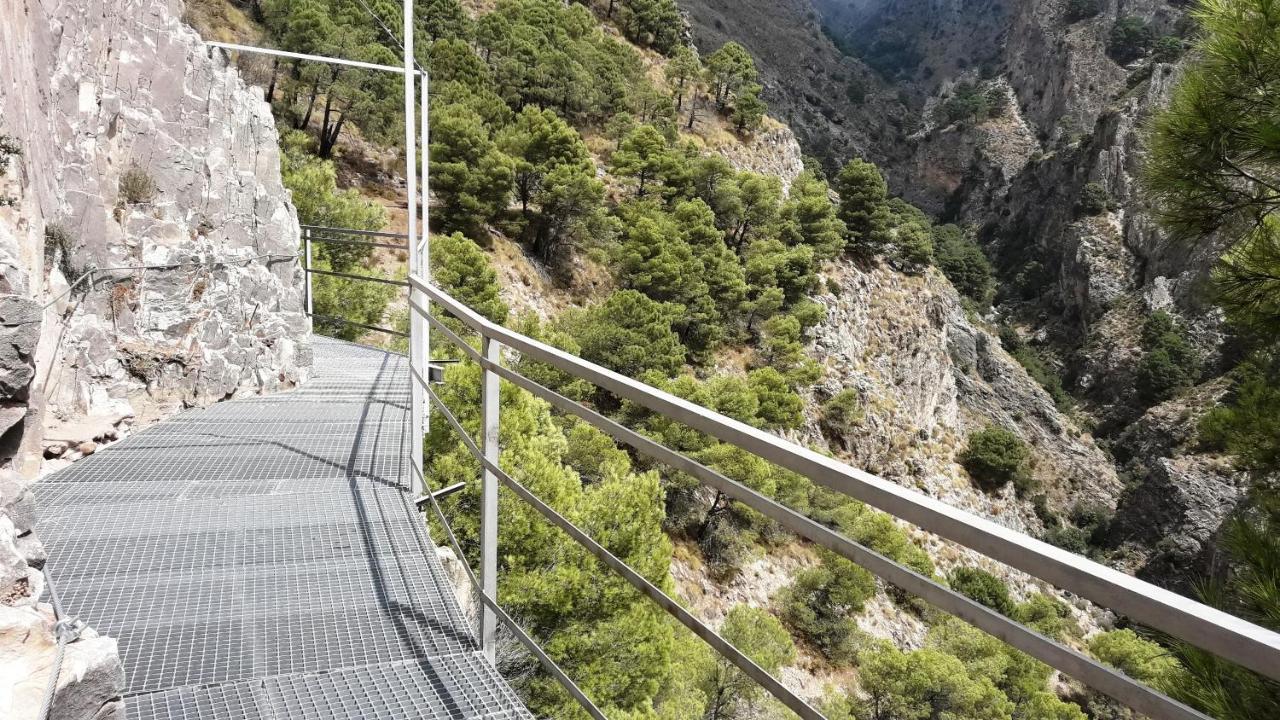 Campo Agave Luxury Tents Sayalonga Exterior foto